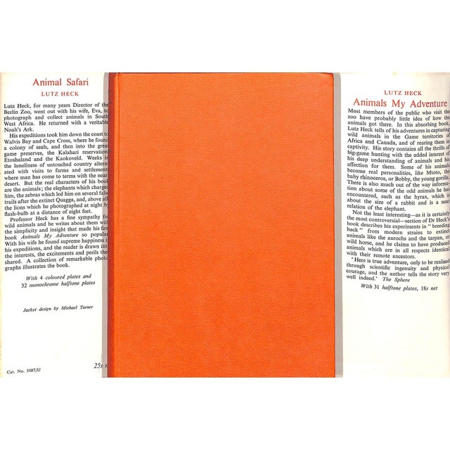 Traditional "Animal Safari: Big Game in South West Africa" 1956 Heck, Lutz For Sale - Image 3 of 8