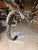 Shahrooz Black Acrylic Sculpture For Sale - Image 4 of 5