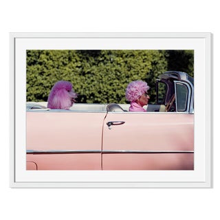 "Pink Hair, Pink Poodle, Pink Car" Framed Photo For Sale