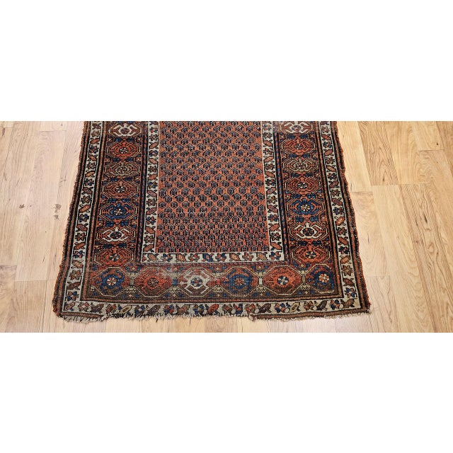 Antique Persian Kurdish Rug, Hand-Knotted Wool, All-over Paisley Pattern, Rust & Navy, 3x6 For Sale - Image 13 of 17