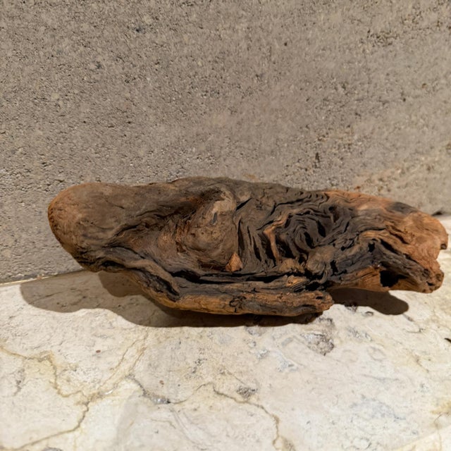 AMBIANIC presents Free Form Wood Root Sculpture 4 h x 10.75 x 5.75 d Original vintage condition Refer to images listed