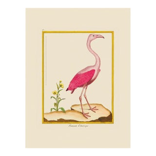 American Falmingo by Martinet Blue and Pink Giclee Reproductions For Sale