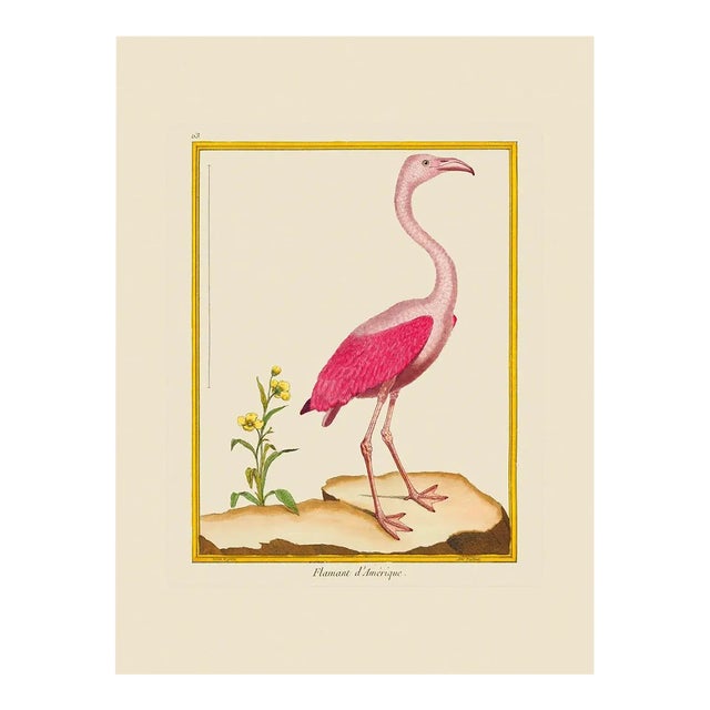 American Falmingo by Martinet Blue and Pink Giclee Reproductions For Sale
