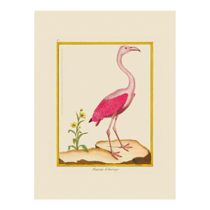 American Falmingo by Martinet Blue and Pink Giclee Reproductions