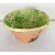 19th Century Italian 19th Century Terracotta Green Glazed Passata Bowl For Sale - Image 5 of 8
