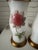 English Pair of Adorable Botanical Lamps For Sale - Image 3 of 7