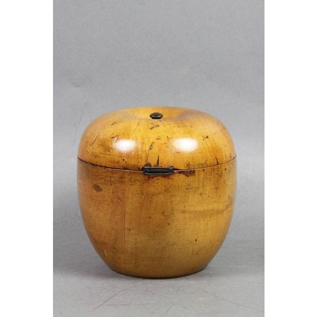 Rustic George III Applewood Teacaddy For Sale - Image 3 of 7
