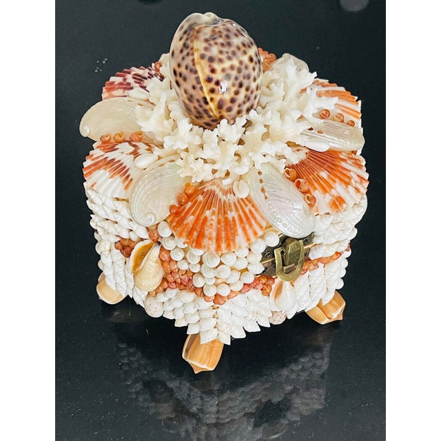 1970s Superb Palm Beach Sea Shell Encrusted Treasure Box For Sale - Image 4 of 4