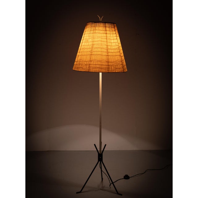 Mid-Century Modern Dutch Tripod Floor Lamp, 1950s For Sale - Image 9 of 12