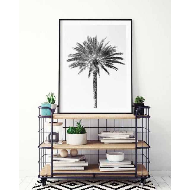 Paper 'Palm Tree' Art Print, Large Contemporary Minimalist Black and White Fine Art Photograph, Tropical Coastal Wall Art, 24 X 36" Photography Print For Sale - Image 7 of 8