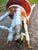 Antique Painted High Back Piano Stool W/ Nautical Glass Claw Feet For Sale - Image 18 of 18