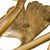 Brass Jay Strongwater Lola Ginkgo Brass Leaf Side Table For Sale - Image 8 of 8