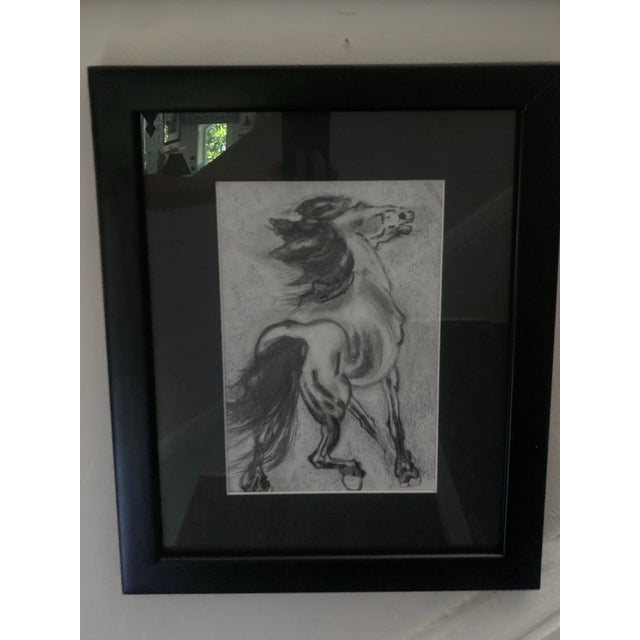 Authentic Signed Charcoal Drawing of a Horse Matted and Framed For Sale - Image 4 of 5