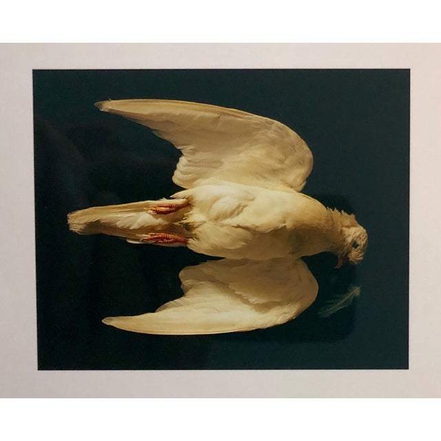 This is a proof print. signed and marked bat (for bon a tirer or good to print) This is a single print from 1998 Birds....