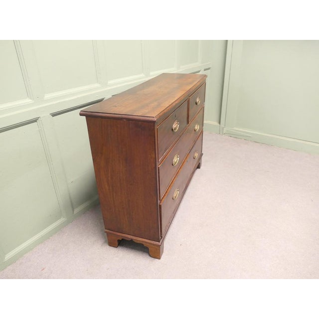 Chest of Drawers in Mahogany For Sale - Image 6 of 8