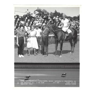 1964 Horse Racing Photograph of the Conquest in the Winner's Circle For Sale