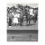 1964 Horse Racing Photograph of the Conquest in the Winner's Circle For Sale