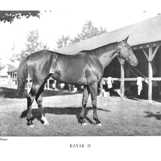 Paper "Racing in America 1937-1959" 1960 Kelley, Robert F. For Sale - Image 7 of 13