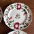 A Very Nice Set of 7 of Antique Staffordshire Early Adam’s Rose Plates, Circa 1830 For Sale - Image 9 of 12