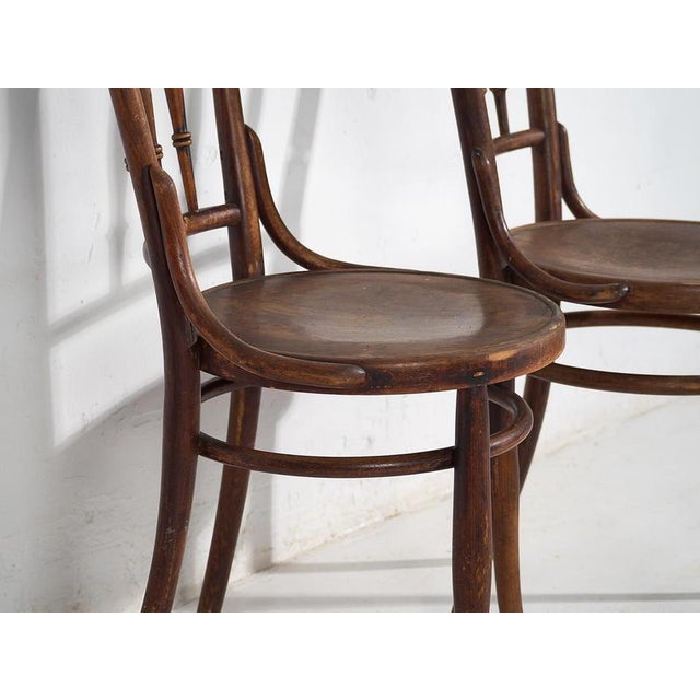 Bentwood Chairs from Thonet, 1920s, Set of 4 For Sale - Image 11 of 17