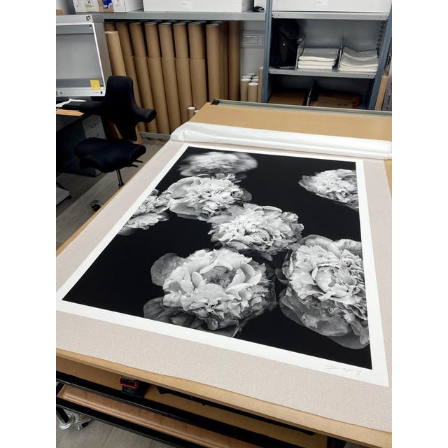 Early 21st Century Peonies Afloat - Blooms, Black and White Photography, Limited Edition 2 of 5 2024 For Sale - Image 5 of 8