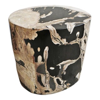 Petrified Wood Stump Side Table For Sale