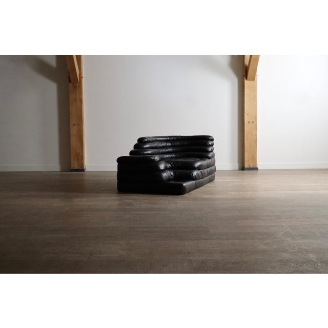 DS-1025 Terrazza Sofa in Black Leather by Ubald Klug for de Sede, 1970s For Sale - Image 10 of 16