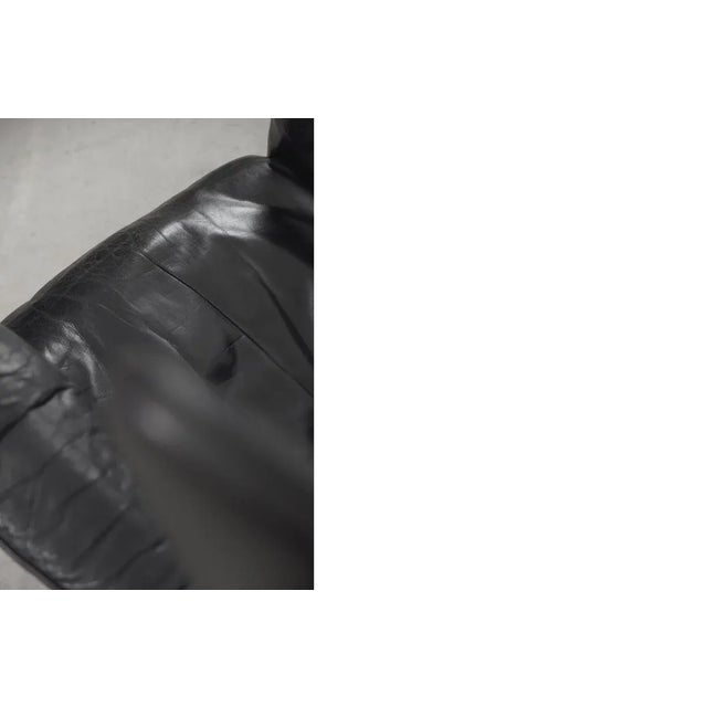 Leather DS-23 Wing Chair by Franz Josef Schulte for de Sede, 1980s For Sale - Image 17 of 18