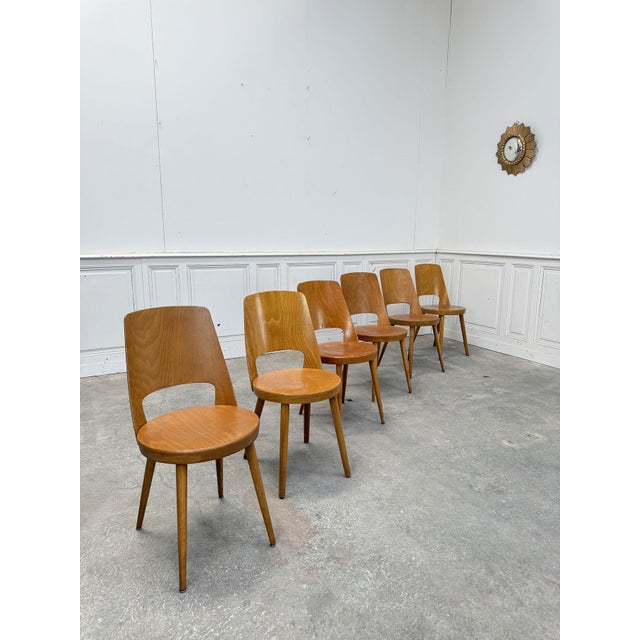 Set of six superb Baumann chairs in beech, light oak stain, made in the 1960s. This is the iconic model with a wraparound...