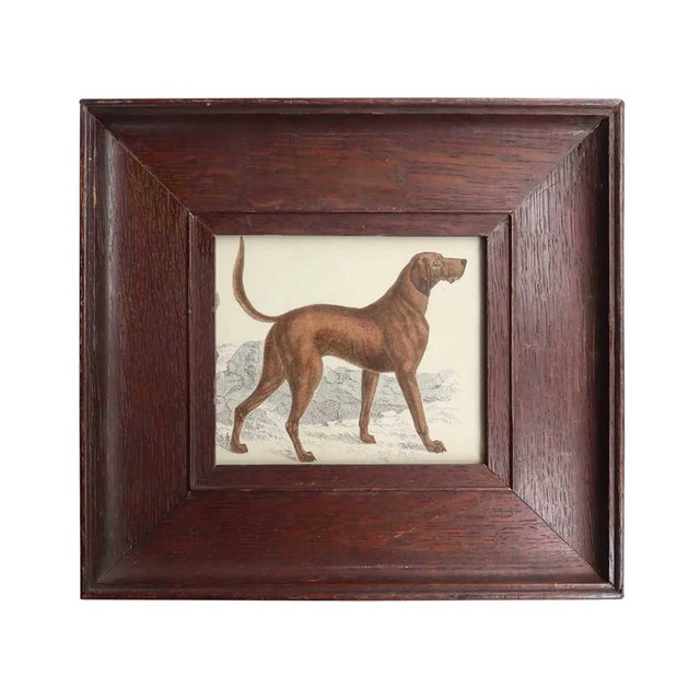 After Cpt. Brown, Bloodhound, 1847, Lithograph, Framed For Sale - Image 4 of 4