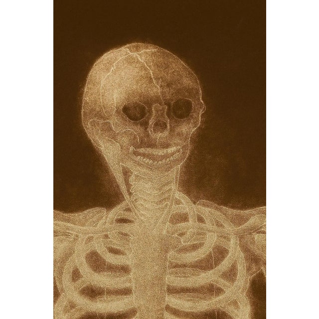 Late 20th Century Alain Gerard Clement Silver Gelatin Photogenic Image Human Skeleton For Sale - Image 5 of 11