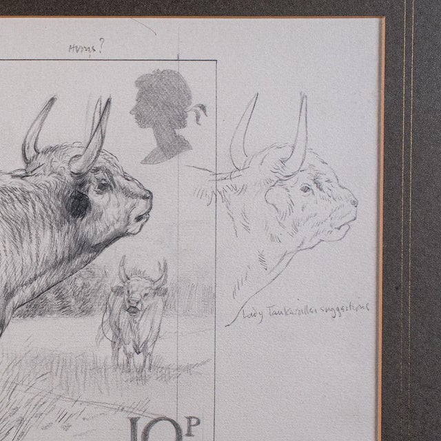 Artist's Proof Sketch, English, Framed Drawing, Barry Driscoll, Chillingham Bull For Sale - Image 6 of 10