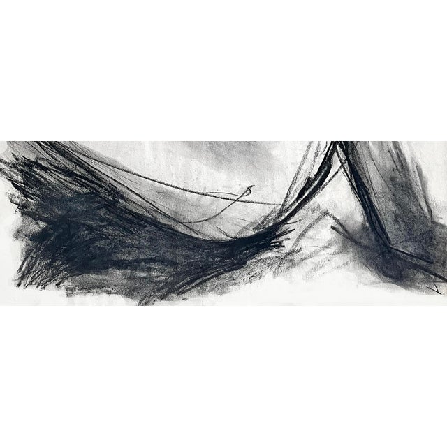 Soft rich black charcoal on newsprint paper. Black Ponytail, 2024 charcoal on newsprint 24 x 17.5 inches The charcoal is...