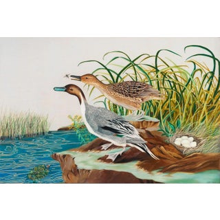 Pintail Duck by Natalie Erwin, Limited Edition Wood Print (72x48) For Sale