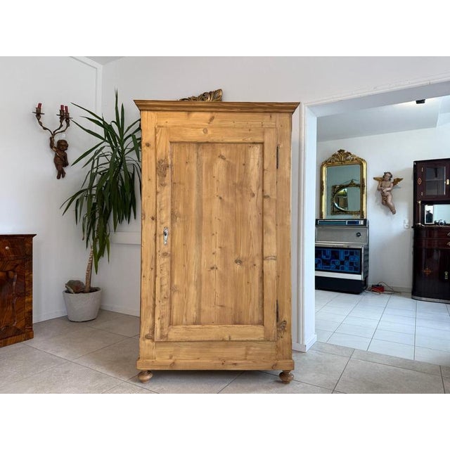 Biedermeier Cabinet in Natural Wood For Sale - Image 11 of 11
