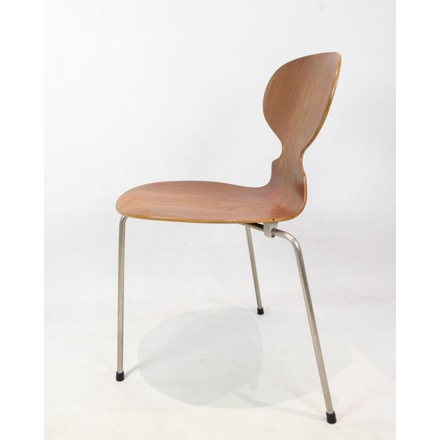 Model 3100 Ant Chair in Teak by Arne Jacobsen for Fritz Hansen, 1950 For Sale - Image 6 of 12