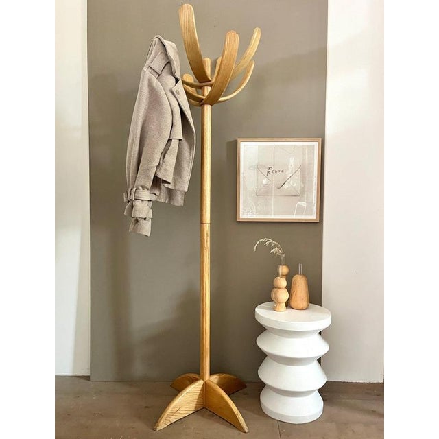 Cactus Coat Rack by Mauro Pasquinelli for Pallavisini, 1970s For Sale - Image 13 of 13