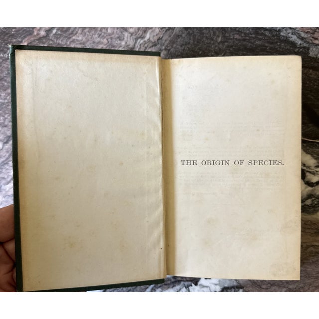 Charles Darwin the Origin of Species 1875 London Sixth Ed. Fifteenth Thousand. For Sale - Image 4 of 17