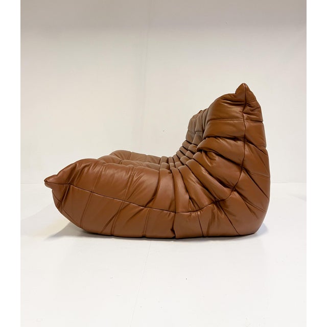 Mid-Century Modern Togo Two-Seater Sofa by Micel Ducaroy for Ligne Roset, 2010s For Sale - Image 3 of 13