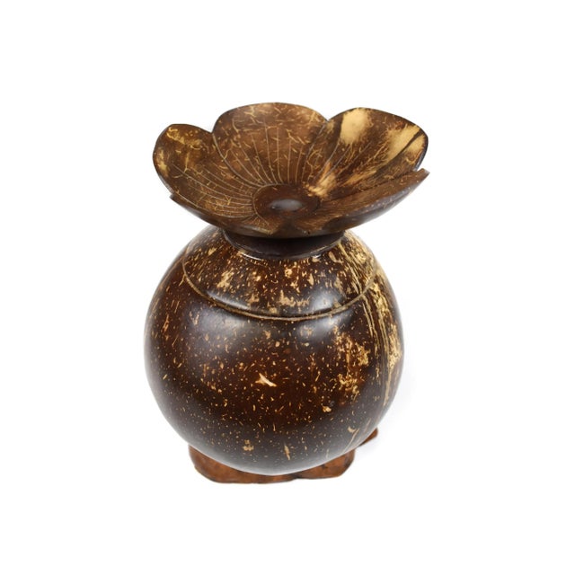 Contemporary Vintage Handmade Natural Coconut Shell Lidded Box Display on Wooden Base For Sale - Image 3 of 13