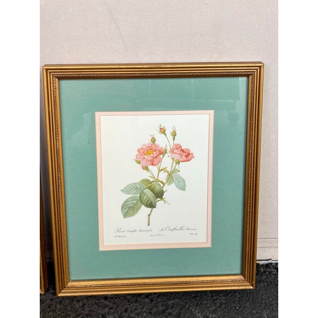 Vintage framed French botanical rose prints featuring artwork by Pierre-Joseph Redouté. Pierre-Joseph Redouté, (1759 -...