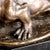 Lurking Tiger Bronze from Rembrandt Bugatti For Sale - Image 5 of 8