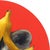 Raccoon With Banana Bangs - Original Surreal Raccoon Animal Pop Art Oil Painting For Sale In Los Angeles - Image 6 of 8