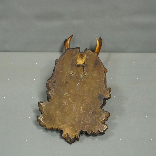 1930s Antique Black Forest Red Deer Trophy on Carved Plaque, Germany 1930s For Sale - Image 5 of 5