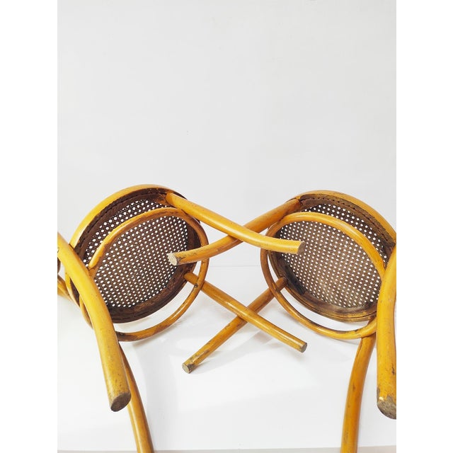 Yellow Set of Yellow Chairs by Josias Eissler & Söhne, Vienna, 1890s For Sale - Image 8 of 10