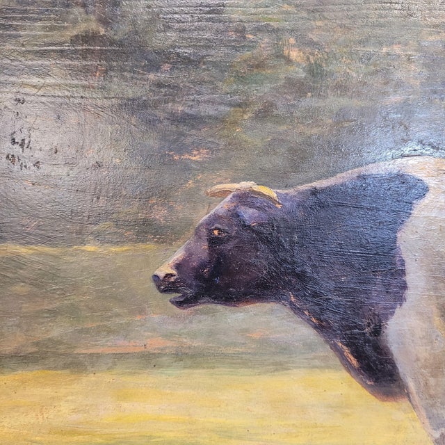 Roger Griboval, Rouen School Cow, 1980s, Oil on Board For Sale - Image 12 of 18