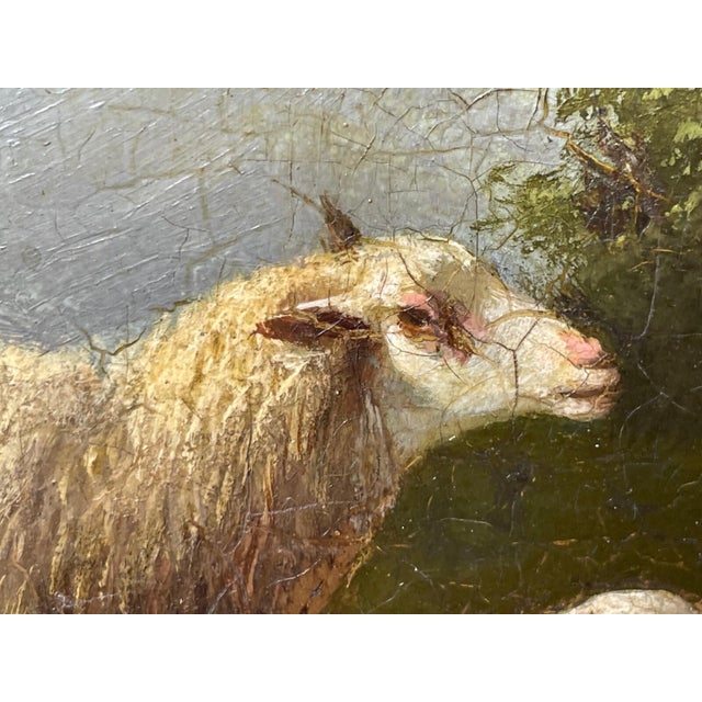 Antique Belgian Sheep Paintings Pair, Franz Van Severdonck Oil on Panel Pastoral Farm Scenes For Sale - Image 15 of 18