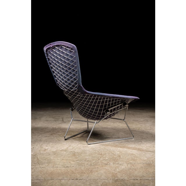Metal 1970s Bird Chair by Herry Bertoia Bird for Knoll For Sale - Image 7 of 13