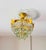 Vintage Brass Butterfly Flush Mount Light, Vintage Hand-Painted Light Green Crystal Basket Chandelier, Dramatic Radial Shadow Display For Sale - Image 10 of 15