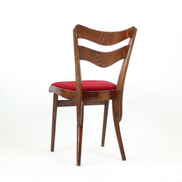 Dining Chairs in Oak and Walnut, Czechoslovakia, 1960s, Set of 4 For Sale - Image 6 of 13